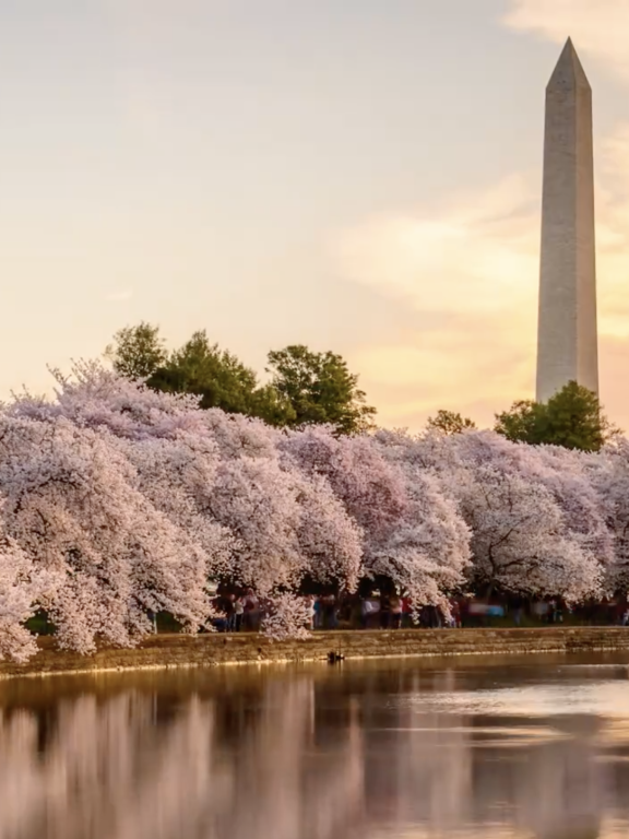 DC Monument