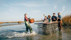 A waterman brings a basket of oysters to a group dining in the water