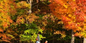 A woman and child gaze up at the autumn foliage