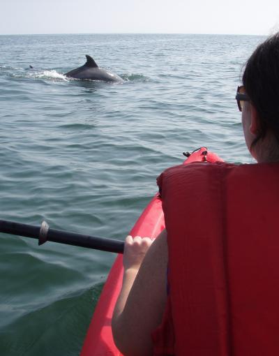 Kayaking with dolphins in VIrginia Beach